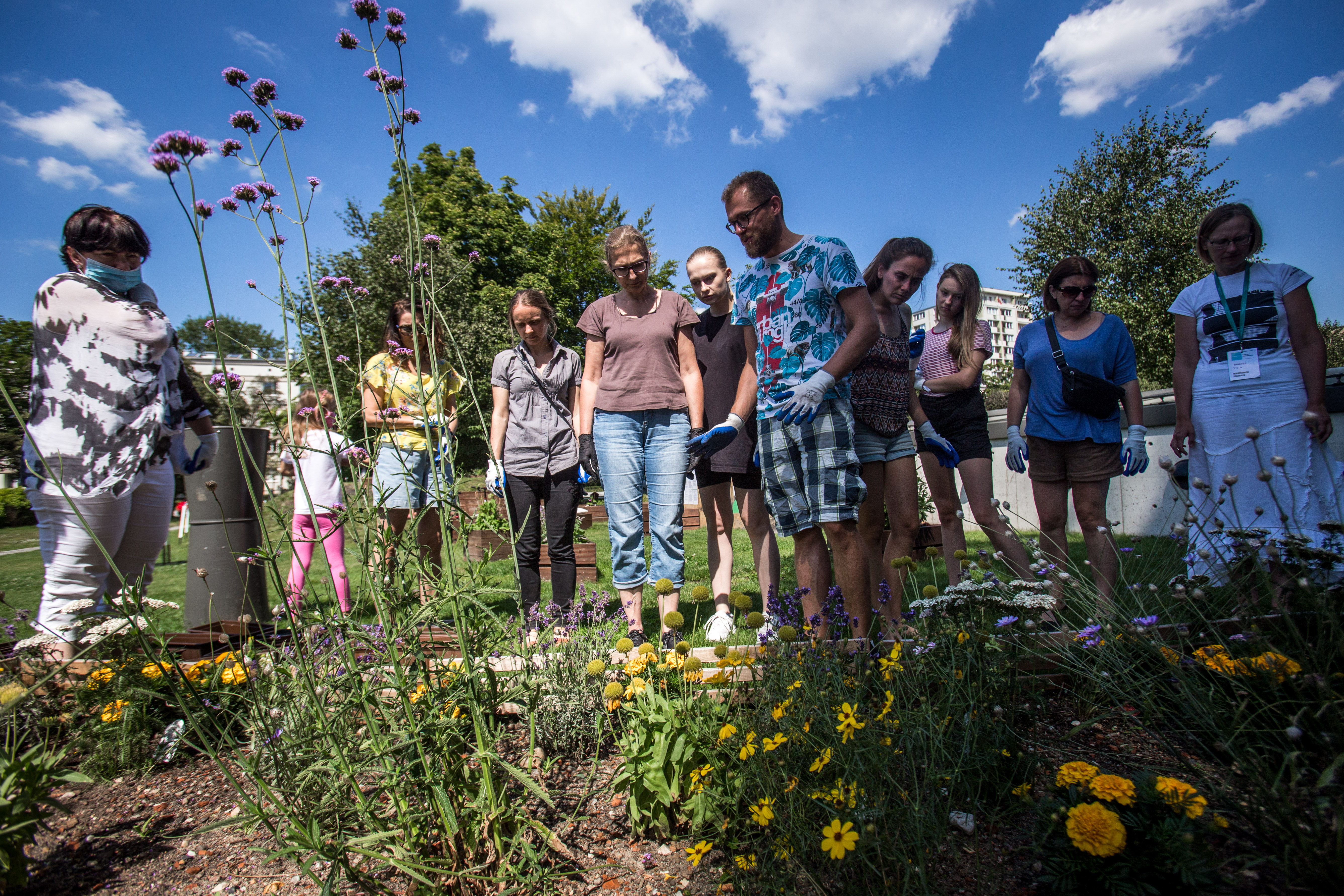 Na obrazie widzimy grupę osób stojących wokół wokół rabatki z kwiatami.