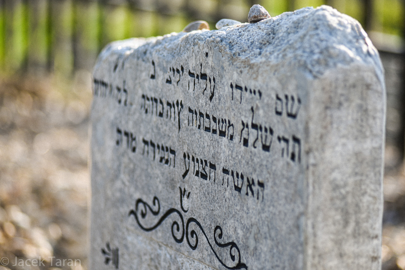 Kadr z filmu "Ukos światła" - macewa na cmentarzu żydowskim.