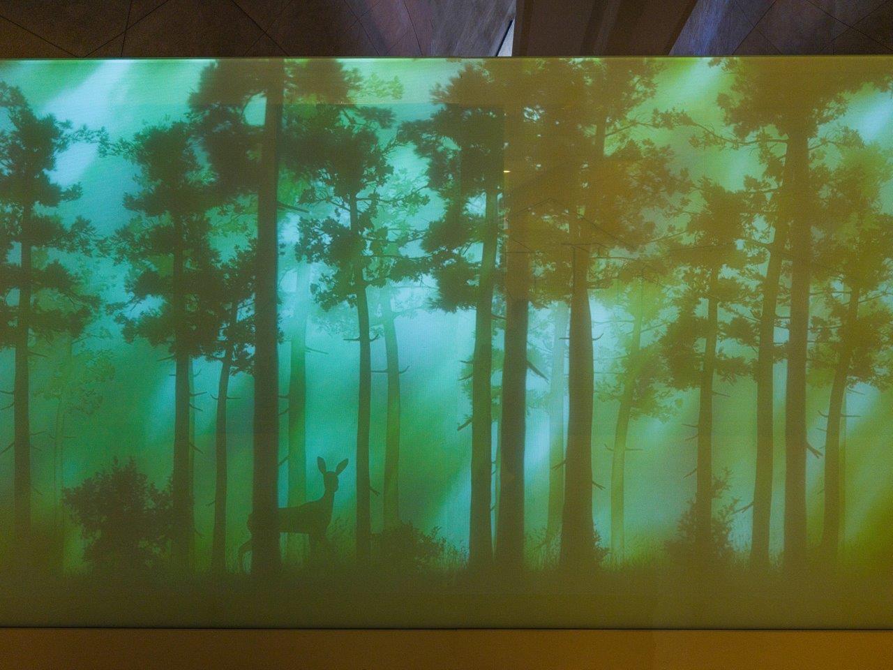 Fragment instalacji w galerii "Las" na wystawie stałej w Muzeum POLIN. Wizualizacja lasu na ekranie - wśród drzew widoczna sarenka.