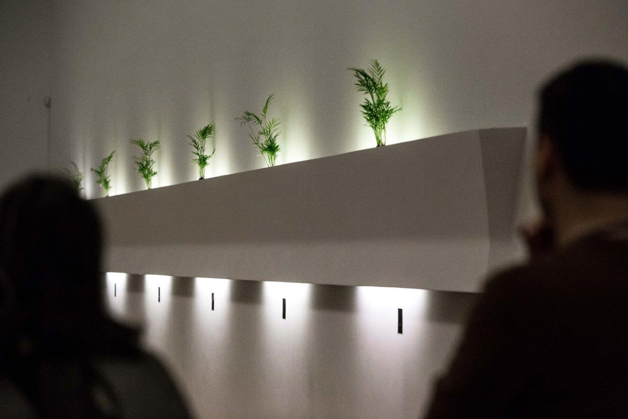 Instalacja, Tetiana Bohuslavska, Warszawa 2022, sześcian przyczepiony na ścianie, wzdłuż niego bukiety podświetlone niewielkim światłem 