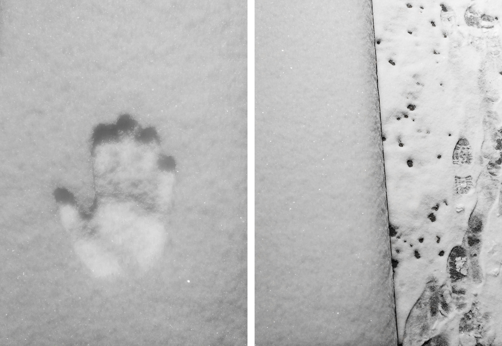 Obraz podzielony na pół. Z lewej strony odciśnięta dłoń na śniegu, z prawej - ślady butów.
