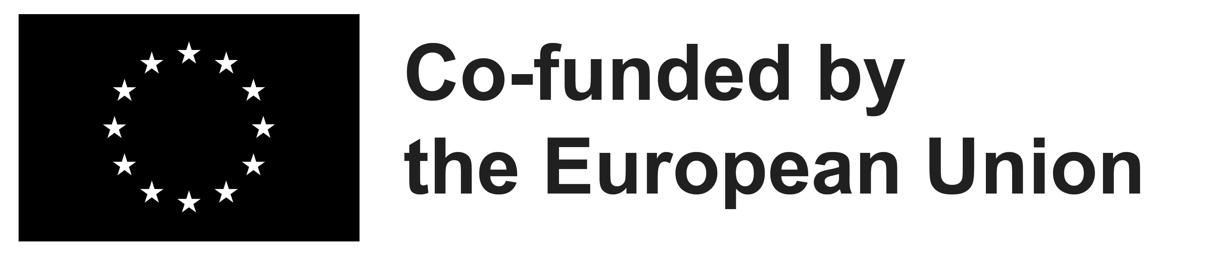 Co-funded by European Union