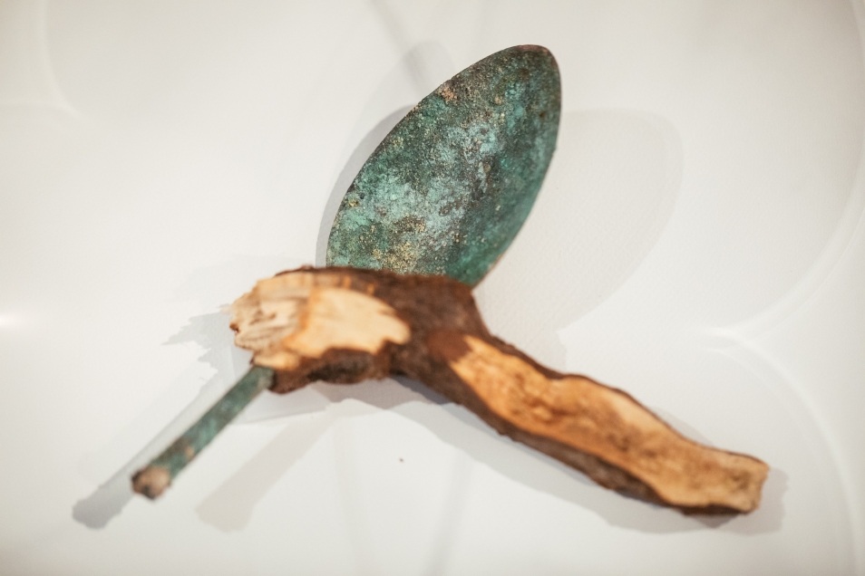 Łyżka pokryta śniedzią, która wrosła w korzeń drzewa. Przedmiot z badań archeologicznych, pochodzi z terenu Muranowa, obszaru, na którym został postawiony budynek Muzeum POLIN
