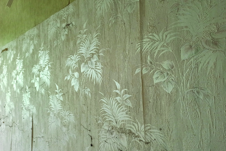 Floral motifs on wallpaper.