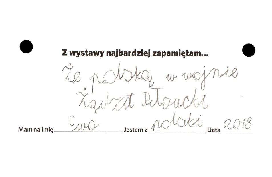 opinie o wystawie czasowej