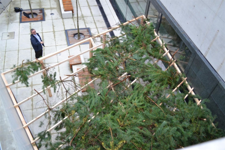 Drewniana konstrukcja, na której leżą zielone gałązki - fragment szałasu budowanego na święto Sukkot.