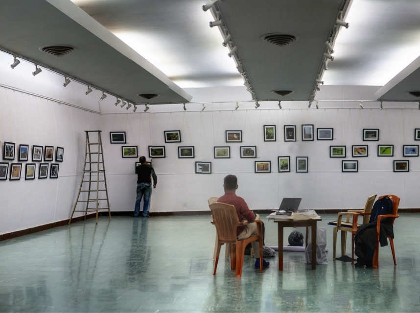 Galeria sztuki. Obrazy na ścianie.