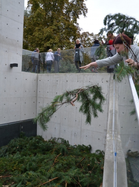 Kobieta rzuca gałązki świerku na dach szałasu budowanego z okazji święta Sukkot.