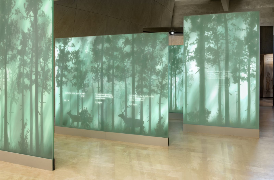 Instalacja w galerii "Las" na wystawie stałej w Muzeum POLIN.