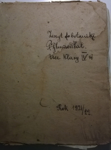 Felicja Blumenthal