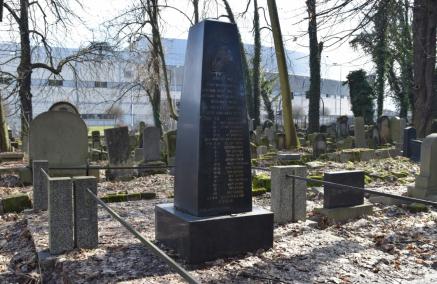 Cmentarz żydowski w Krakowie - kilka grobów, w tym pośrodku jeden dużo wyższy od innych, ofiar zbrodni Kurasie.