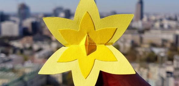 Papierowy, żółty żonkil, symbol akcji społeczno-edukacyjnej Żonkile