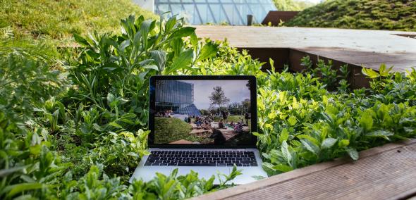 Zdjęcie ilustracyjne - na trawniku stoi otwarty i właczony laptop, na którym wyświetlone jest zdjęcie, które przedstawia ludzi, siedzących na tym samym trawniku