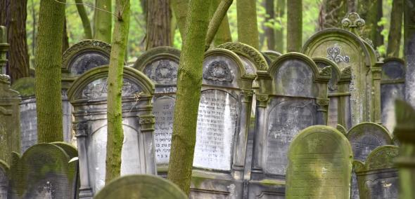Wielkomiejskie cmentarze żydowskie w Europie Środkowo-Wschodniej - wykład specjalny, Muzeum POLIN