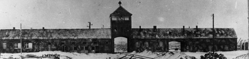 Tory i baraki w Auschwitz-Birkenau.