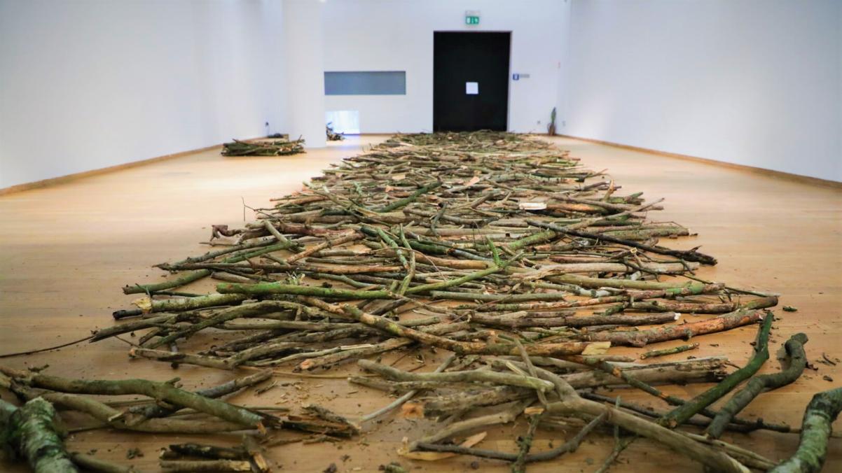 Instalacja artystyczna - gałęzie leżą na podłodze.