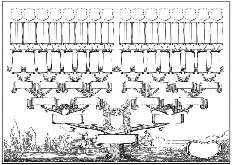 Szkic drzewa genealogicznego