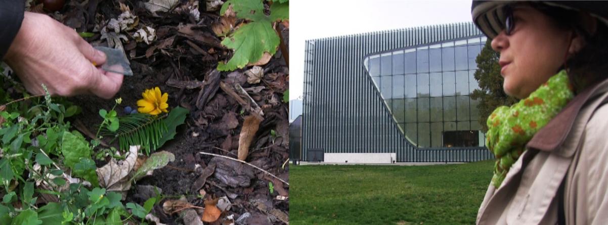 Kolaż z dwóch zdjęć. Na jednym ktoś grzebie w ziemi, na drugim widać profil kobiety na tle budynku Muzeum POLIN.