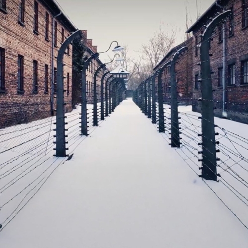 Ścieżka ogrodzona drutami kolczastymi w obozie Auschwitz.