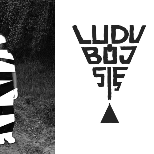 Logo i grafika do wystawy "Ludu, bój się"